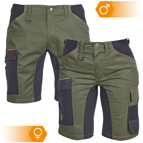 Vorschau Dynamic Line Bermuda